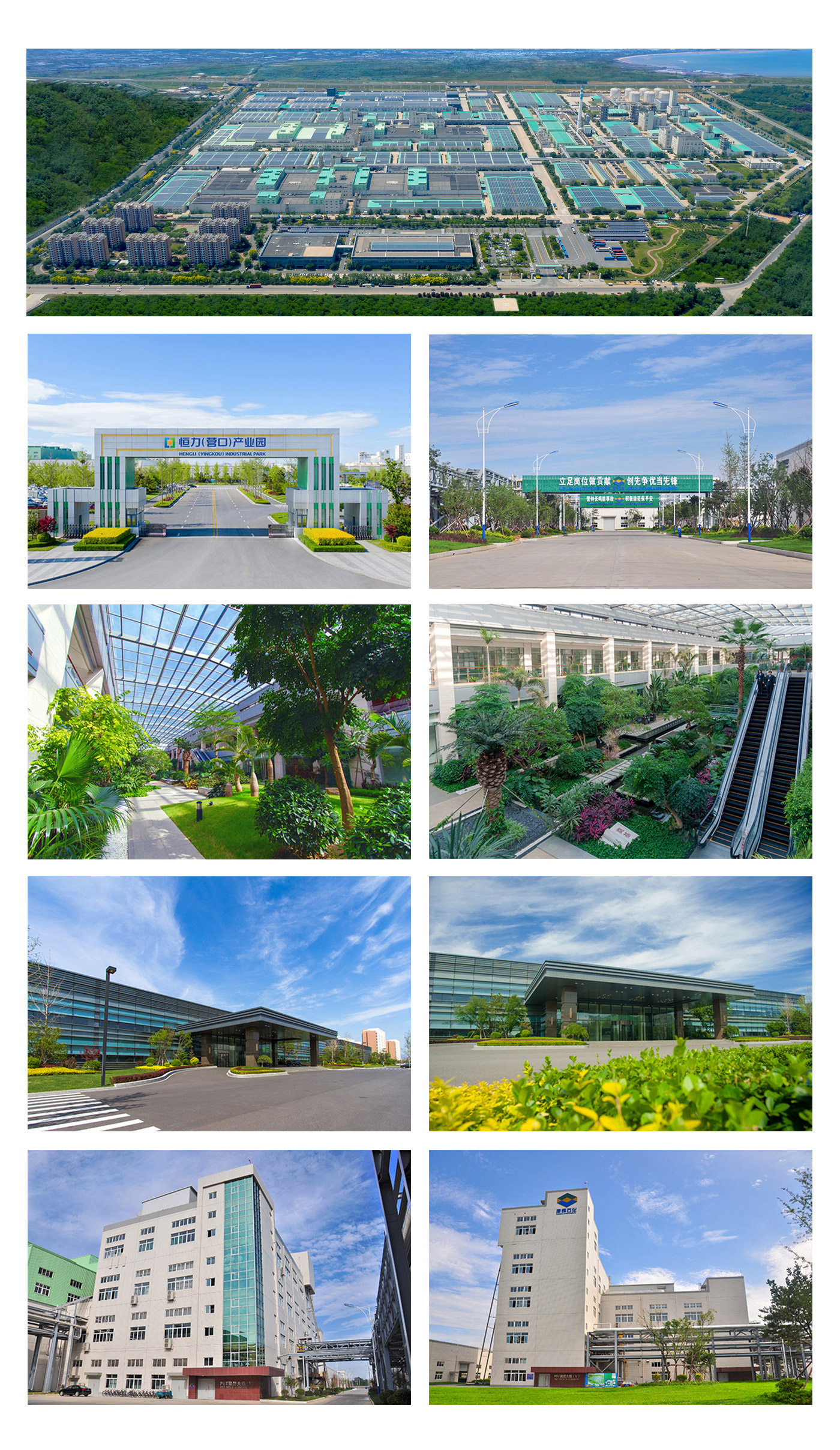 1734076326148819.jpg 98e9e0c71431114ce4a1adec0416afd3_c7654bba3b4bb156958556fcc2a9b98daf6cf395.jpg